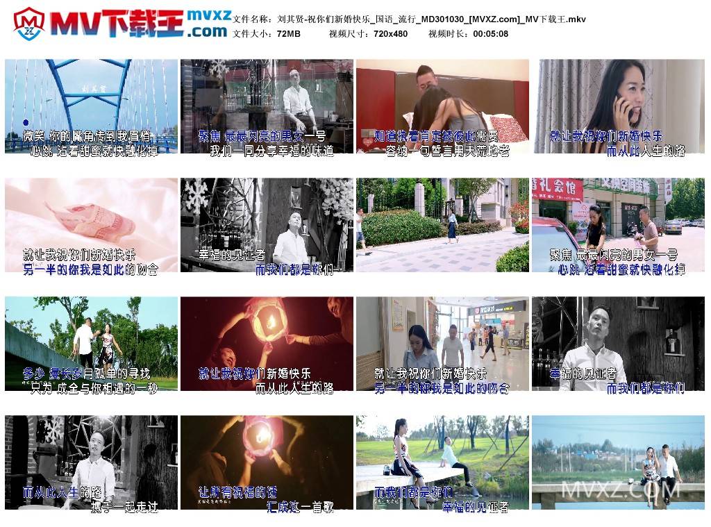 刘其贤-祝你们新婚快乐_国语_流行_MD301030